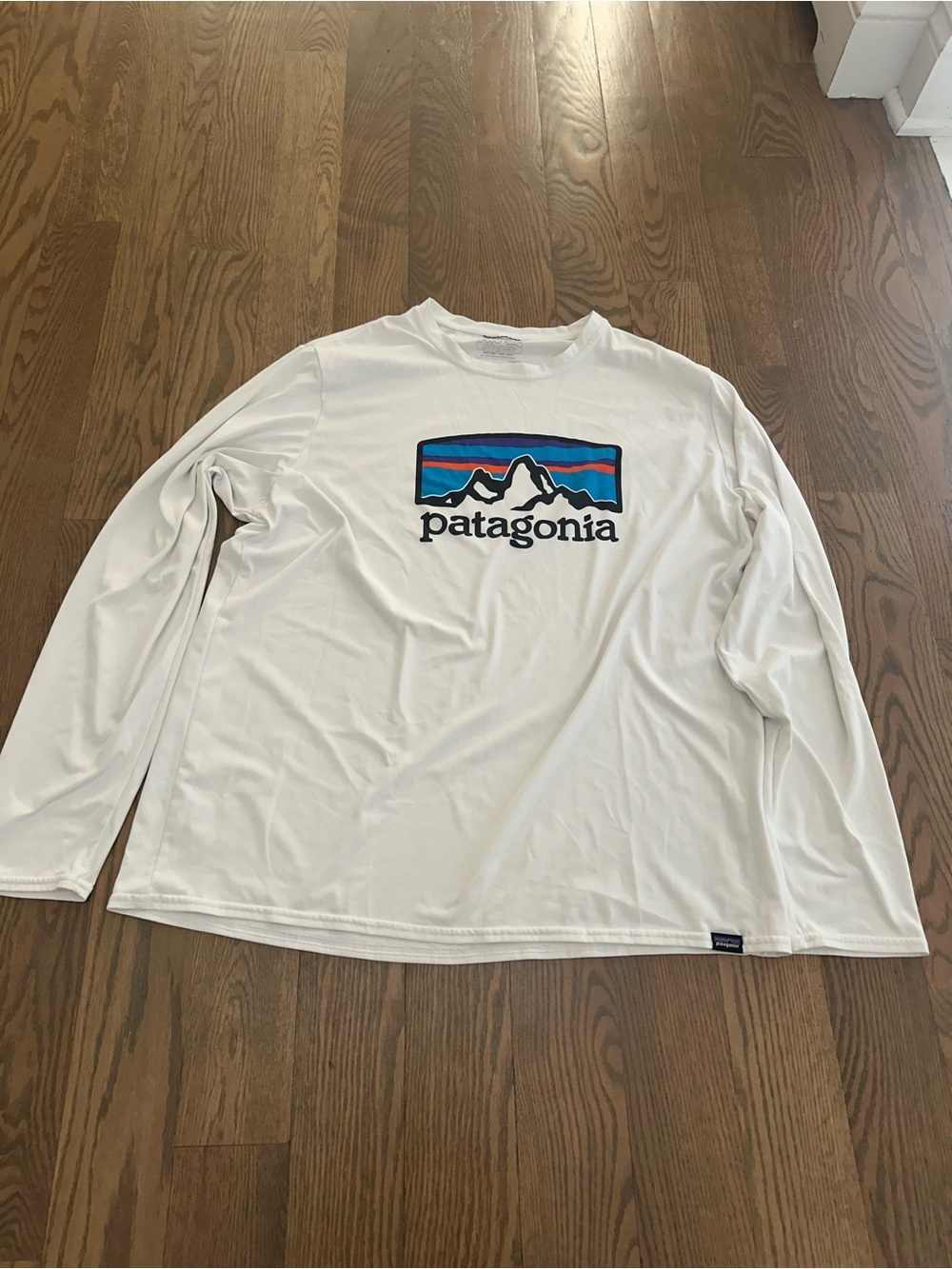 Patagonia White Long-Sleeve Logo Tee with Blue & Red Graphic
